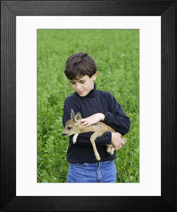 Framed Print : Picture No. 10780307 Framed Print : Picture No. 10780307