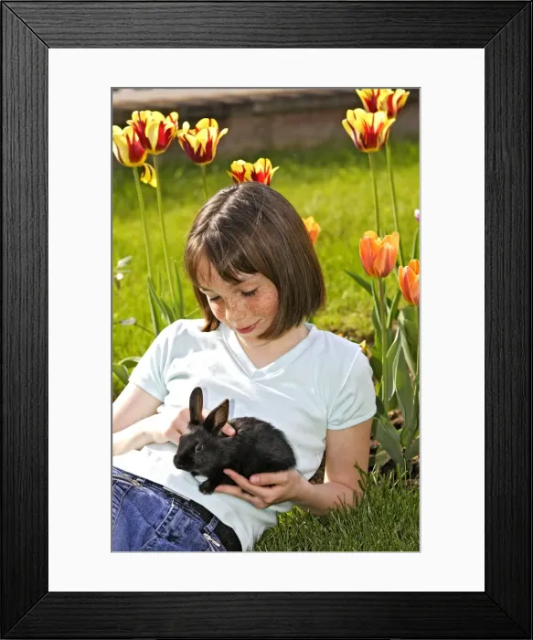Framed Print : Picture No. 10780327 Framed Print : Picture No. 10780327