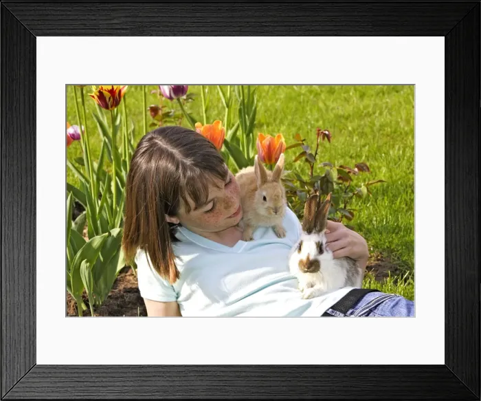 Framed Print : Picture No. 10780330