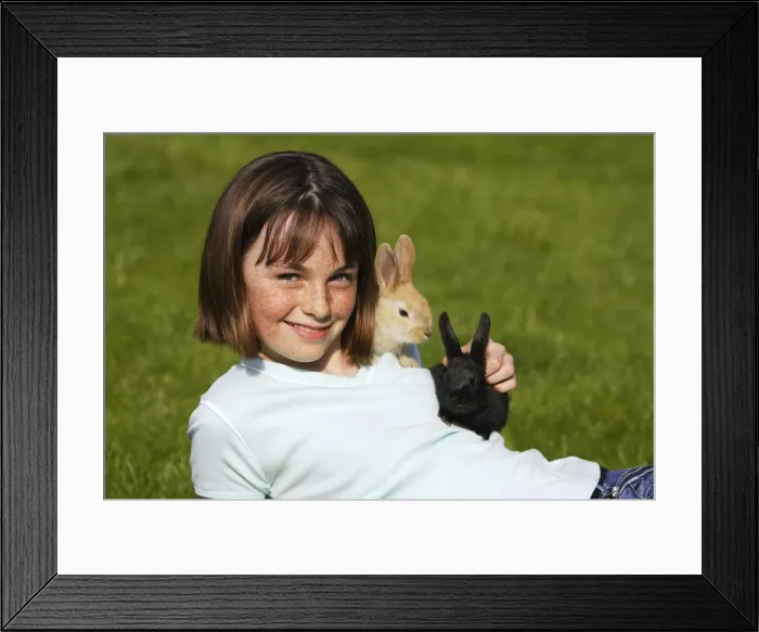 Framed Print : Picture No. 10780329