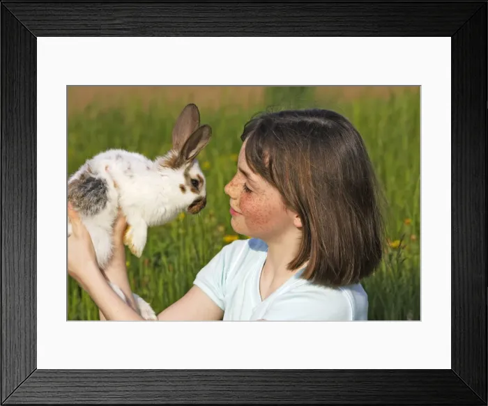 Framed Print : Picture No. 10780333 Framed Print : Picture No. 10780333