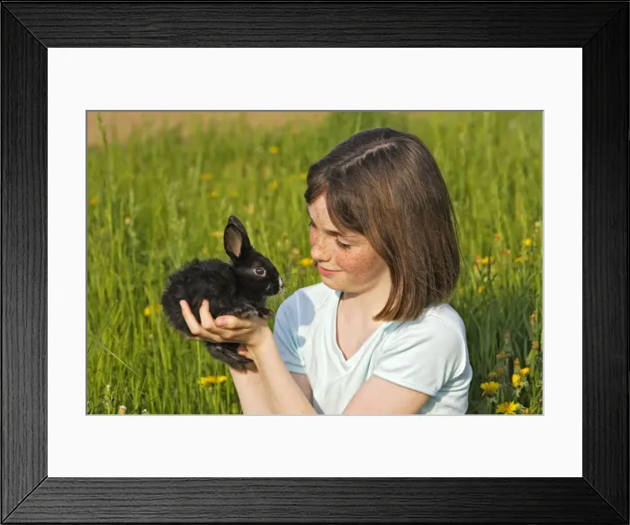 Framed Print : Picture No. 10780335 Framed Print : Picture No. 10780335
