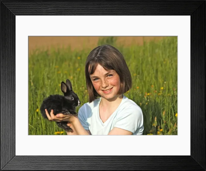 Framed Print : Picture No. 10780336 Framed Print : Picture No. 10780336
