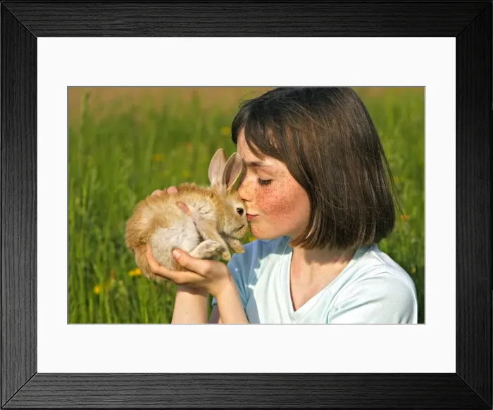 Framed Print : Picture No. 10780334 Framed Print : Picture No. 10780334