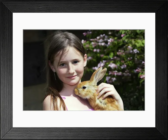 Framed Print : Picture No. 10780352 Framed Print : Picture No. 10780352