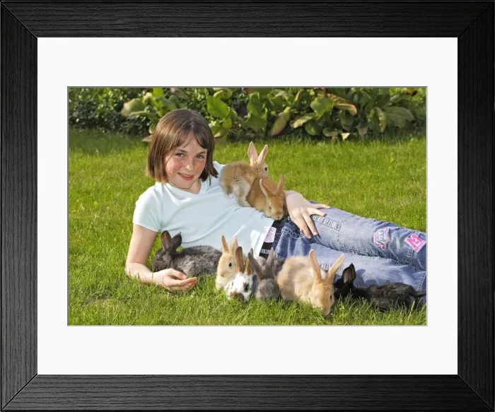 Framed Print : Picture No. 10780331 Framed Print : Picture No. 10780331