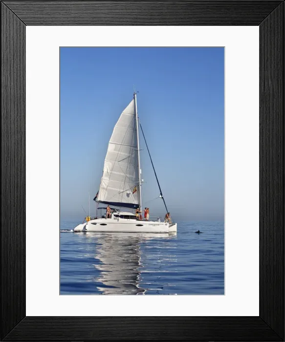 Framed Print : Picture No. 10780405 Framed Print : Picture No. 10780405