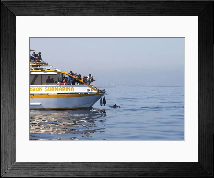 Framed Print : Picture No. 10780443 Framed Print : Picture No. 10780443