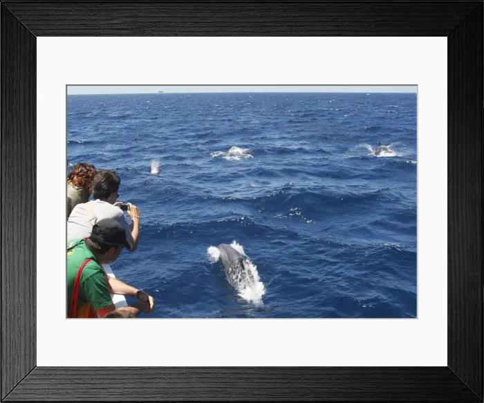 Framed Print : Picture No. 10780442 Framed Print : Picture No. 10780442