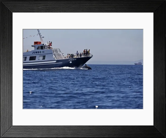 Framed Print : Picture No. 10780440 Framed Print : Picture No. 10780440