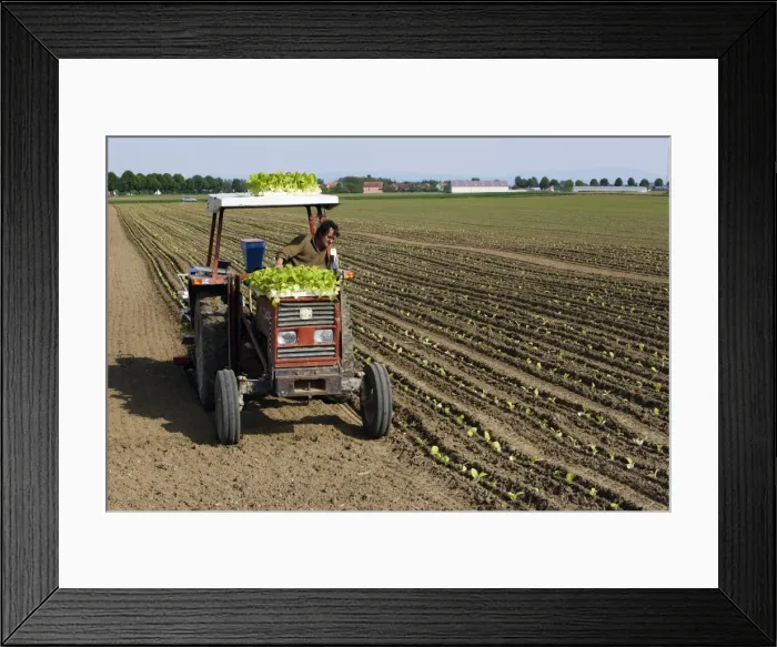 Framed Print : Picture No. 10780396 Framed Print : Picture No. 10780396