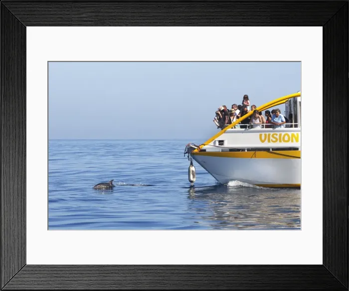Framed Print : Picture No. 10780444 Framed Print : Picture No. 10780444