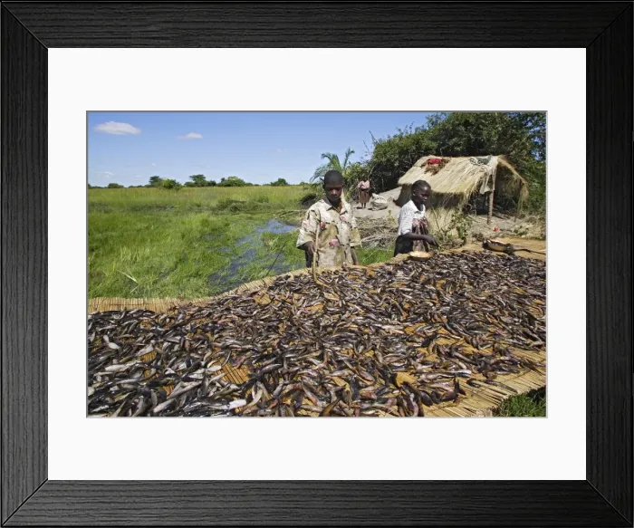 Framed Print : Picture No. 10780552 Framed Print : Picture No. 10780552