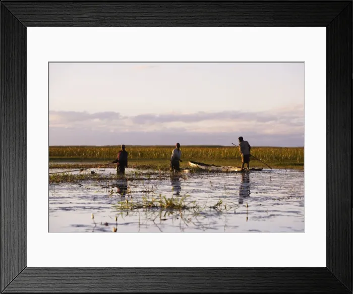 Framed Print : Picture No. 10780556