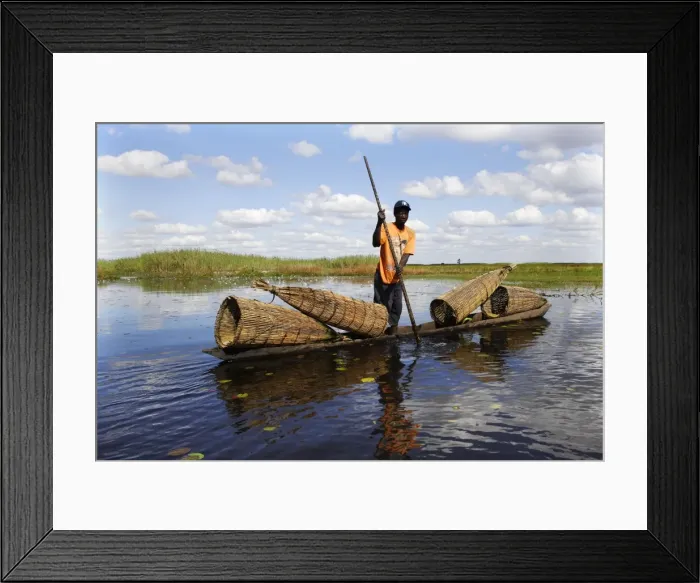 Framed Print : Picture No. 10780557