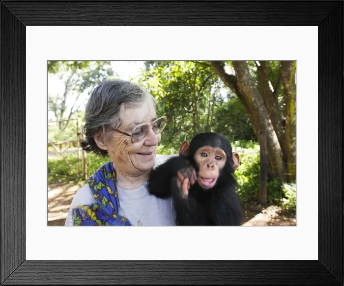 Framed Print : Picture No. 10780558 Framed Print : Picture No. 10780558