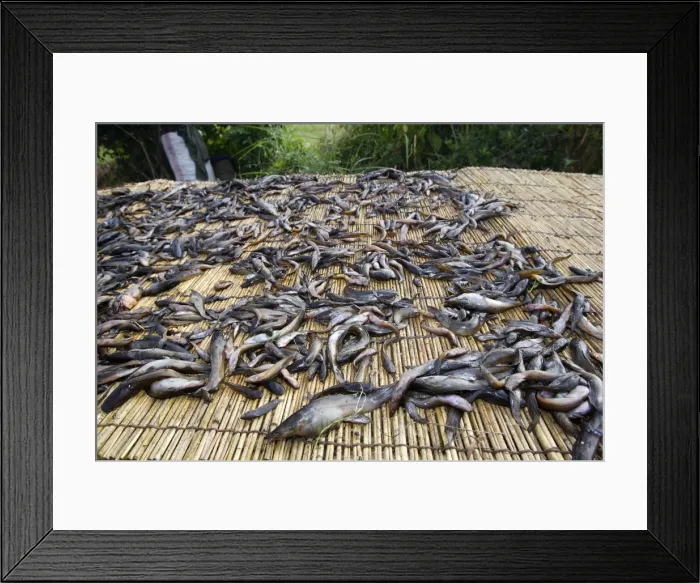 Framed Print : Picture No. 10780565 Framed Print : Picture No. 10780565