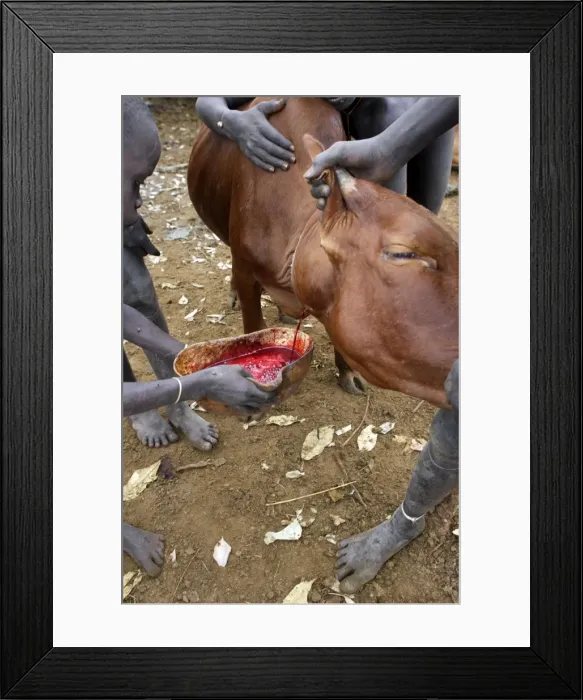 Framed Print : Picture No. 10780620 Framed Print : Picture No. 10780620