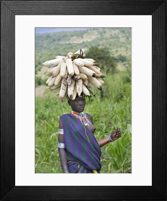 Framed Print : Picture No. 10780630 Framed Print : Picture No. 10780630