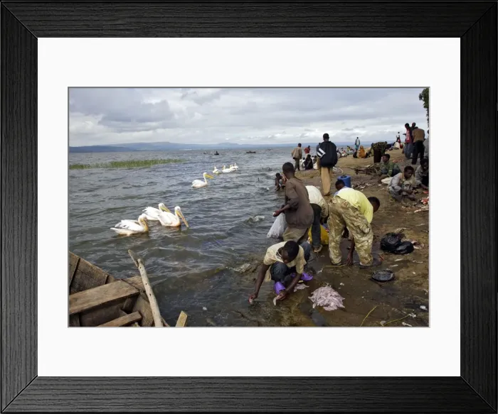 Framed Print : Picture No. 10780635 Framed Print : Picture No. 10780635