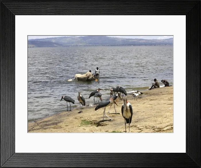 Framed Print : Picture No. 10780668 Framed Print : Picture No. 10780668