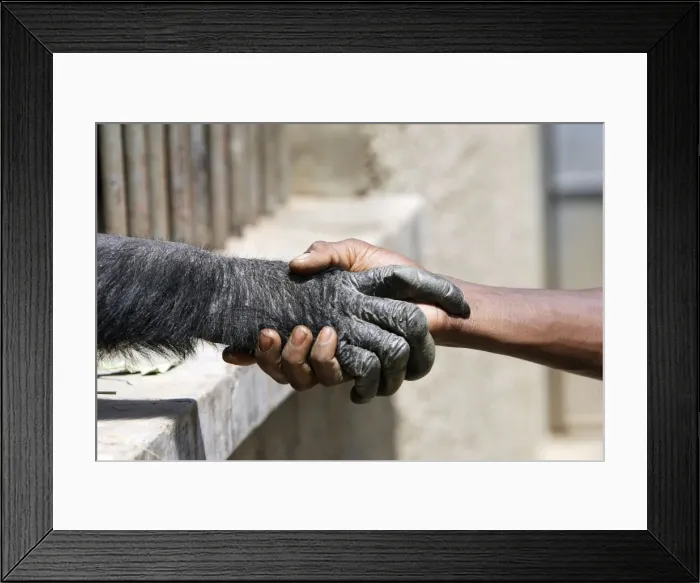 Framed Print : Picture No. 10780911 Framed Print : Picture No. 10780911