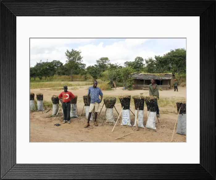 Framed Print : Picture No. 10780926 Framed Print : Picture No. 10780926