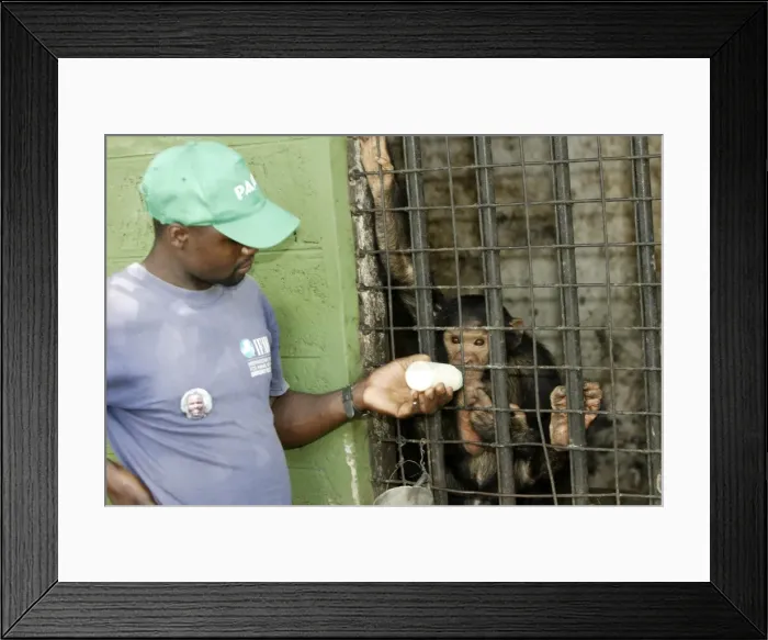 Framed Print : Picture No. 10780935 Framed Print : Picture No. 10780935
