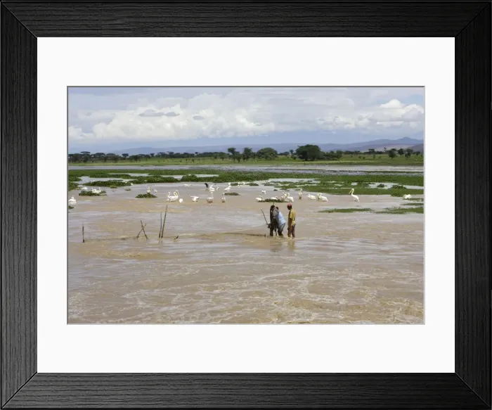 Framed Print : Picture No. 10780709 Framed Print : Picture No. 10780709