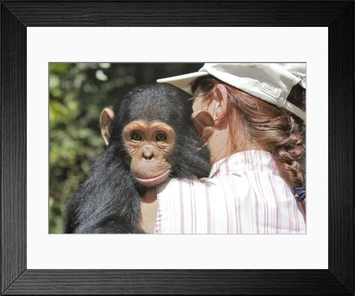 Framed Print : Picture No. 10780932 Framed Print : Picture No. 10780932