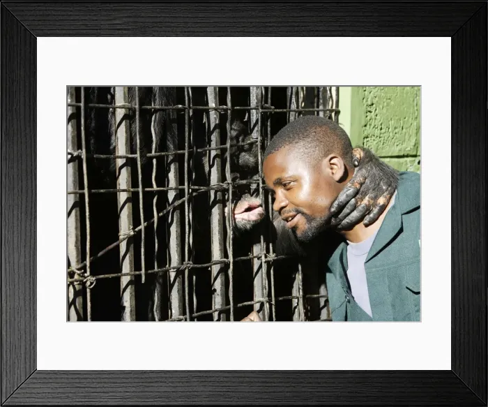 Framed Print : Picture No. 10780954 Framed Print : Picture No. 10780954