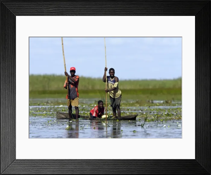 Framed Print : Picture No. 10780994 Framed Print : Picture No. 10780994