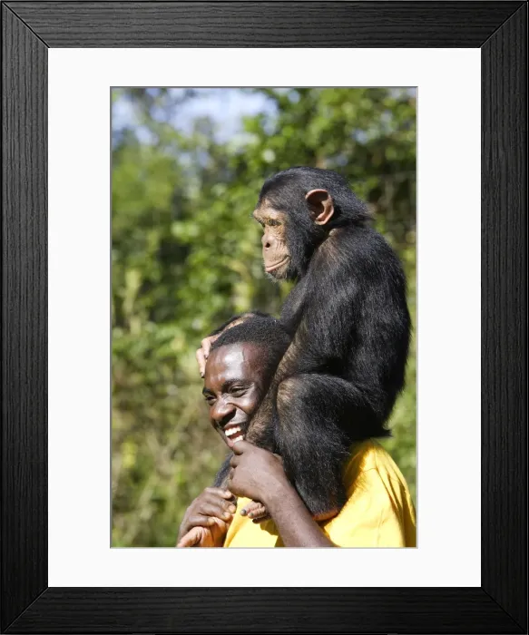 Framed Print : Picture No. 10780962 Framed Print : Picture No. 10780962