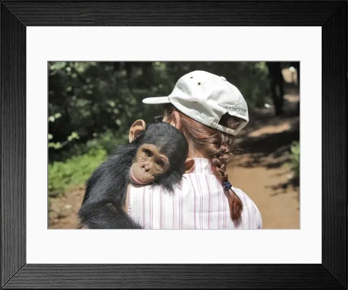 Framed Print : Picture No. 10781018 Framed Print : Picture No. 10781018
