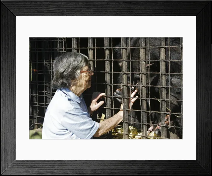 Framed Print : Picture No. 10781023 Framed Print : Picture No. 10781023