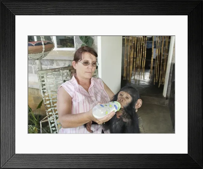 Framed Print : Picture No. 10781013 Framed Print : Picture No. 10781013