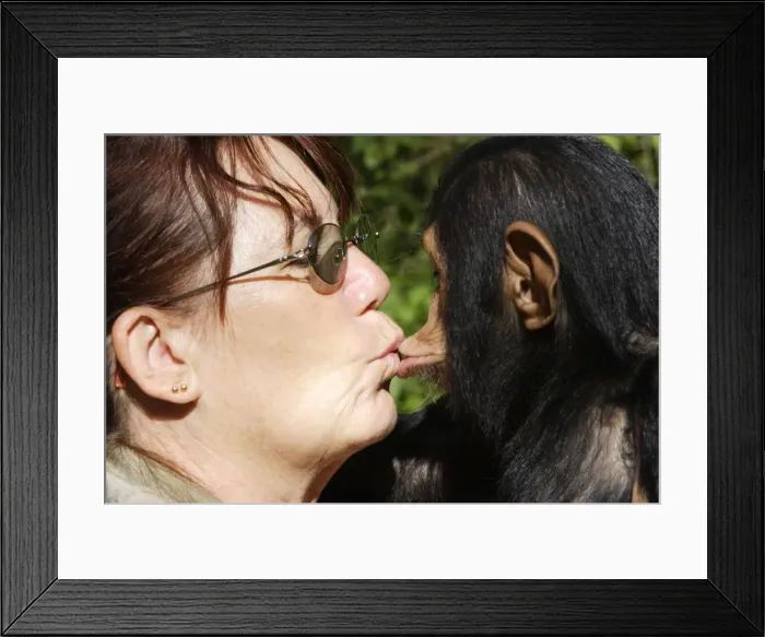 Framed Print : Picture No. 10781026 Framed Print : Picture No. 10781026