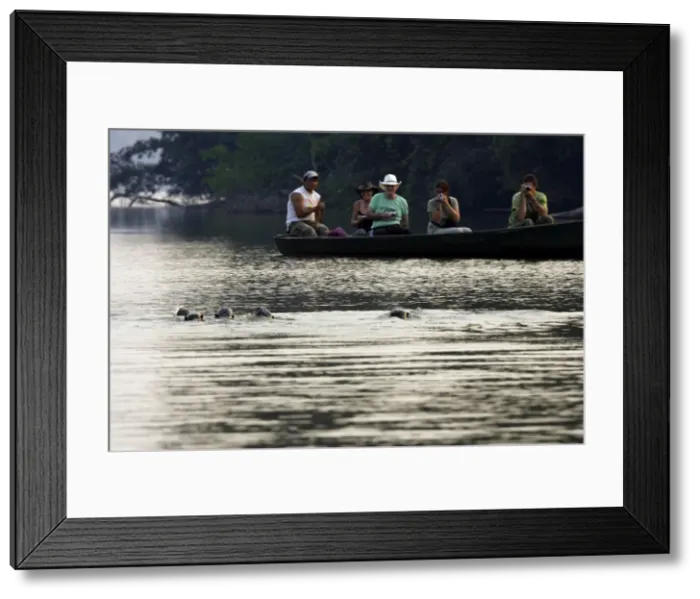 Framed Print : Picture No. 10781210 Framed Print : Picture No. 10781210