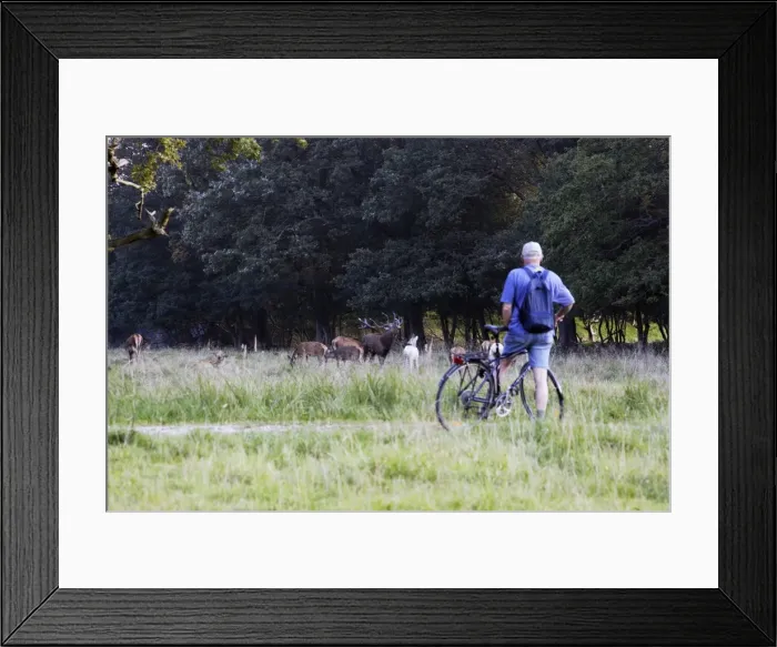 Framed Print : Picture No. 10781399 Framed Print : Picture No. 10781399