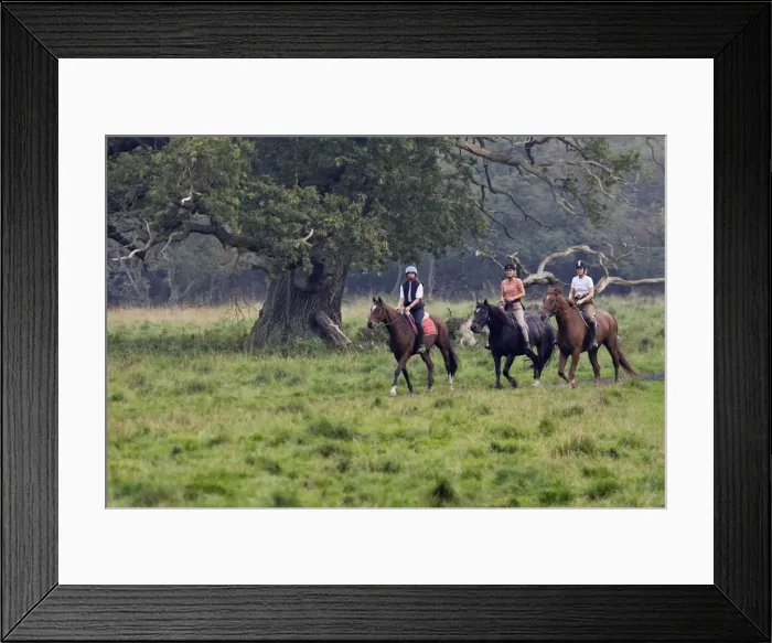 Framed Print : Picture No. 10781406 Framed Print : Picture No. 10781406
