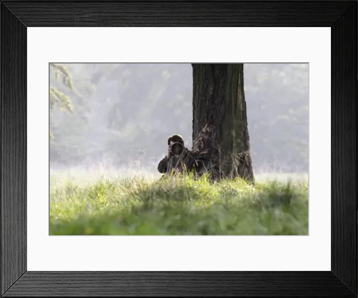 Framed Print : Picture No. 10781451 Framed Print : Picture No. 10781451