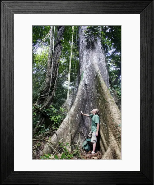 Framed Print : Picture No. 10781527 Framed Print : Picture No. 10781527