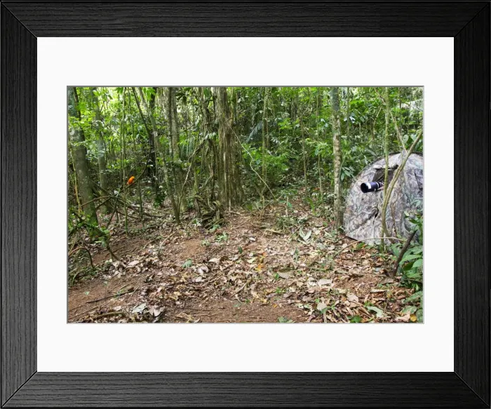 Framed Print : Picture No. 10781479 Framed Print : Picture No. 10781479
