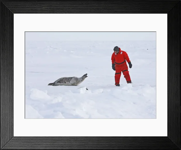 Framed Print : Picture No. 10781752