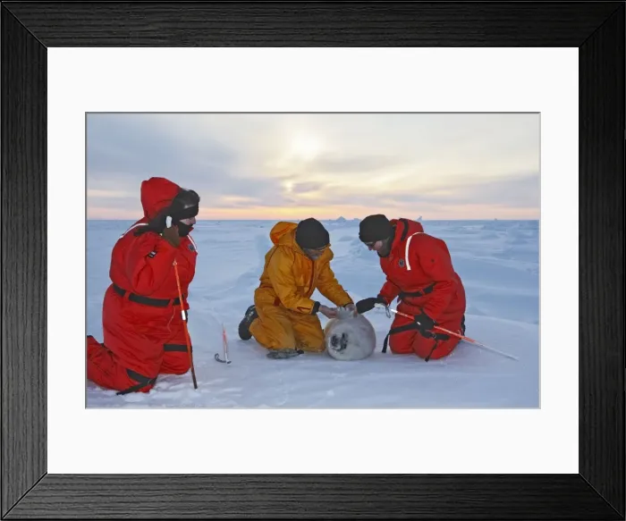 Framed Print : Picture No. 10781783 Framed Print : Picture No. 10781783