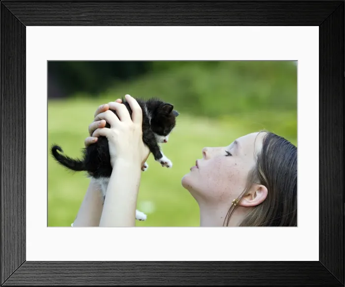 Framed Print : Picture No. 10781817 Framed Print : Picture No. 10781817
