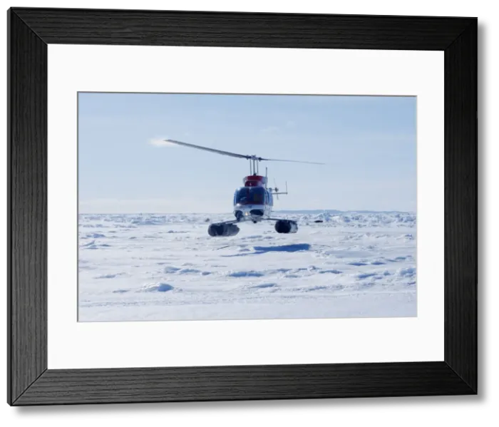 Framed Print : Picture No. 10781688 Framed Print : Picture No. 10781688