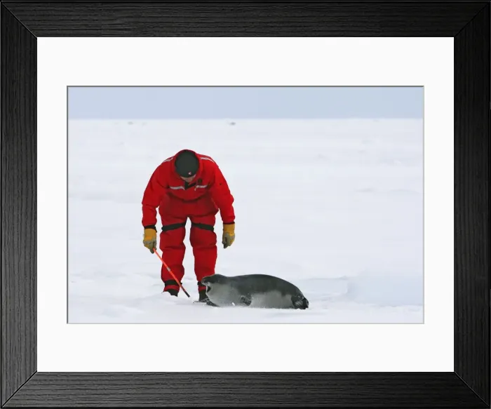 Framed Print : Picture No. 10781734 Framed Print : Picture No. 10781734