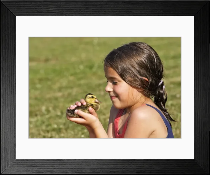 Framed Print : Picture No. 10781818 Framed Print : Picture No. 10781818
