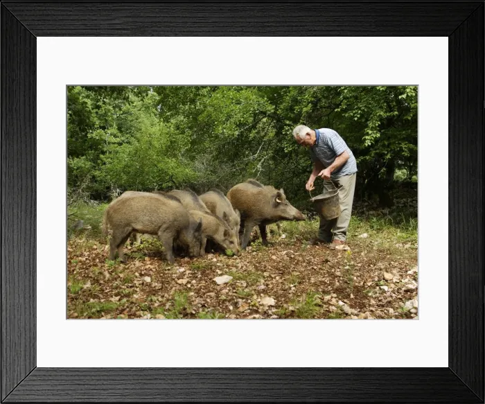 Framed Print : Picture No. 10781912 Framed Print : Picture No. 10781912